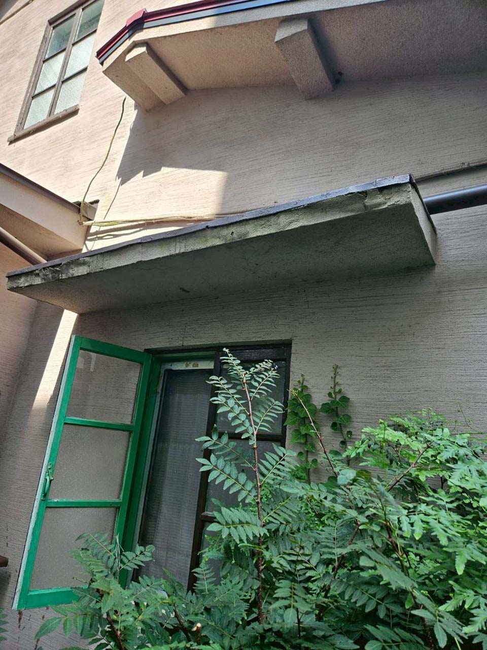 Before